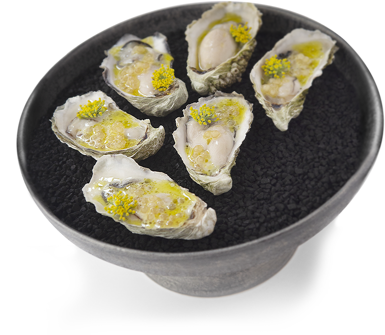 plate of oysters 